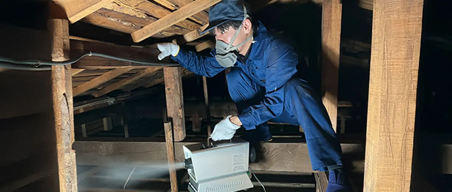 床下に入り害虫駆除を行う