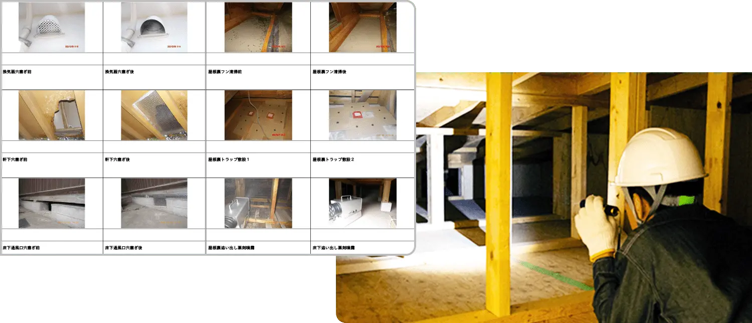 施行中の様子を写真で撮影し資料化