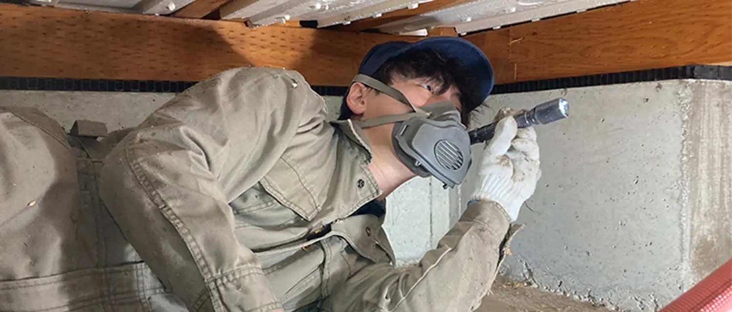 施行後の定期点検を行うスタッフ