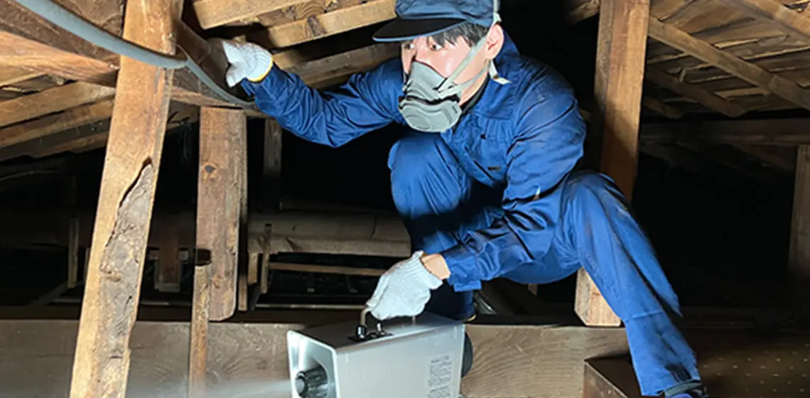 床下に入り害虫駆除を行う