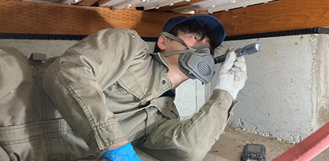 定期点検の実施