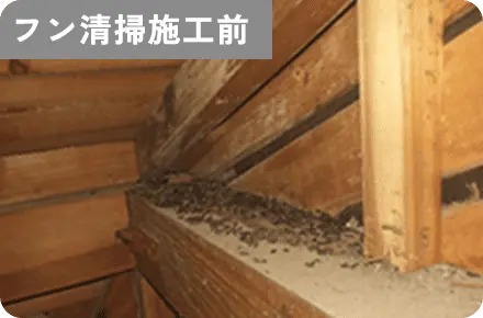 フン清掃施工前