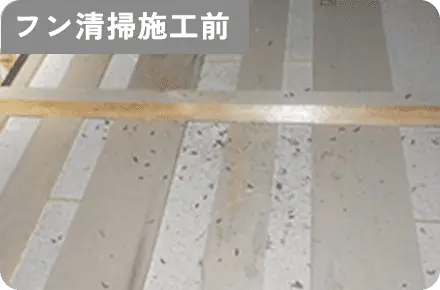 フン清掃施工前