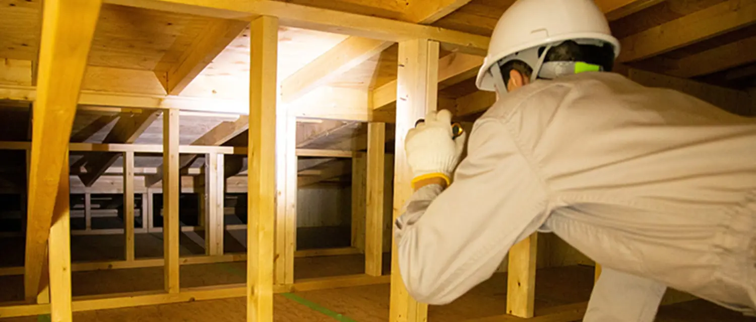 屋根裏に登り調査するスタッフ