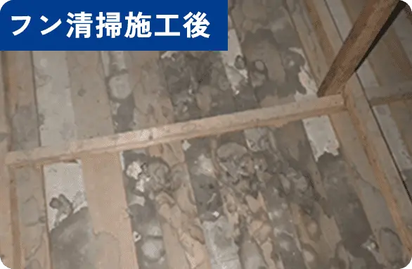 フン清掃施工後