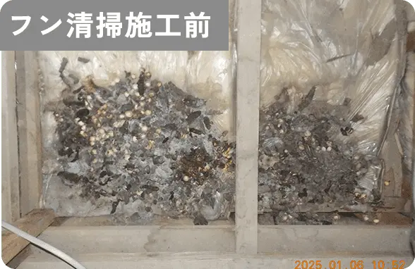 フン清掃施工前
