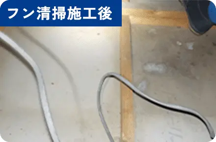 フン清掃施工後