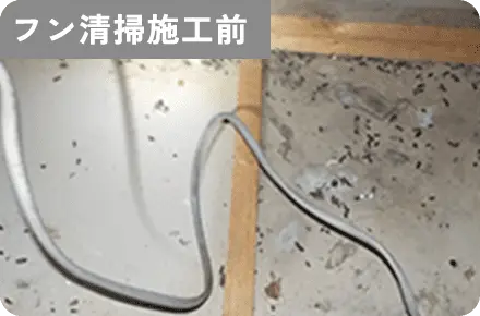 フン清掃施工前