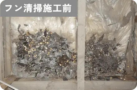 フン清掃施工前