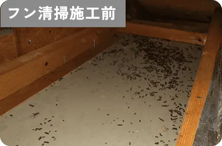 フン清掃施工前
