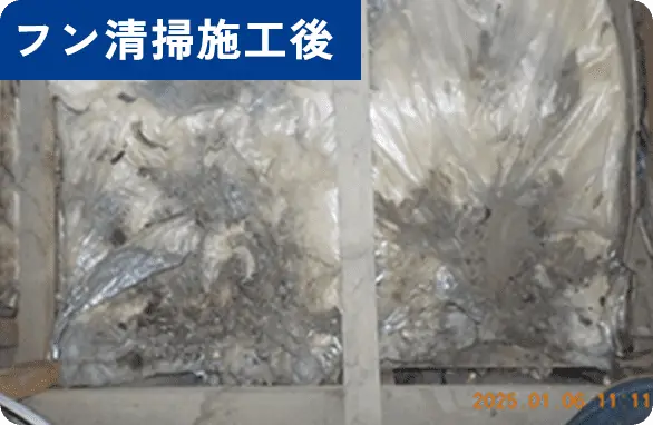 フン清掃施工後