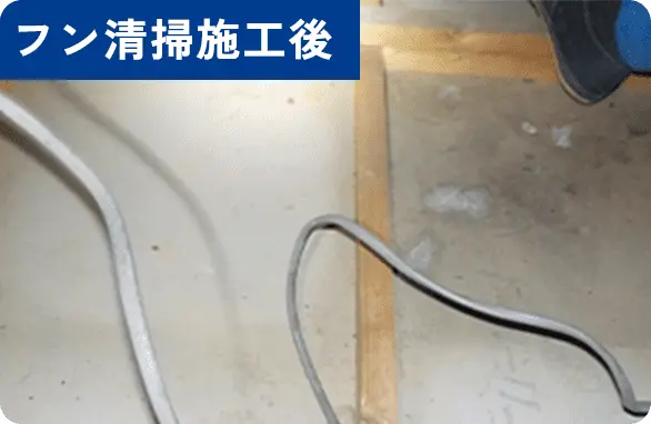 フン清掃施工後