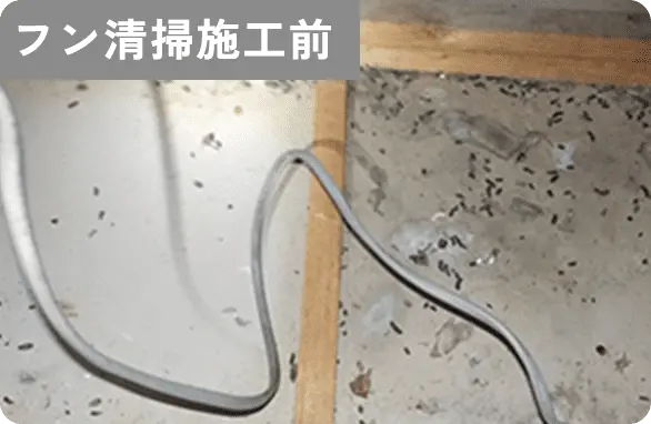 フン清掃施工前
