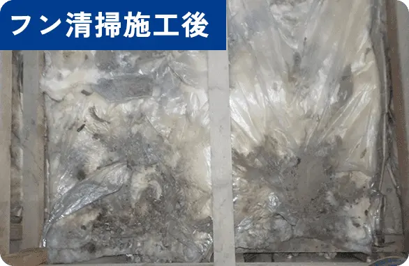 フン清掃施工後