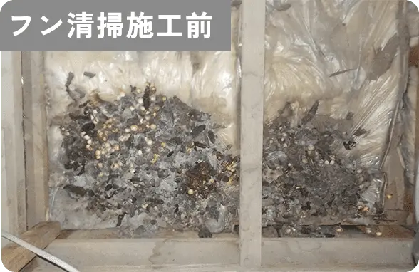 フン清掃施工前