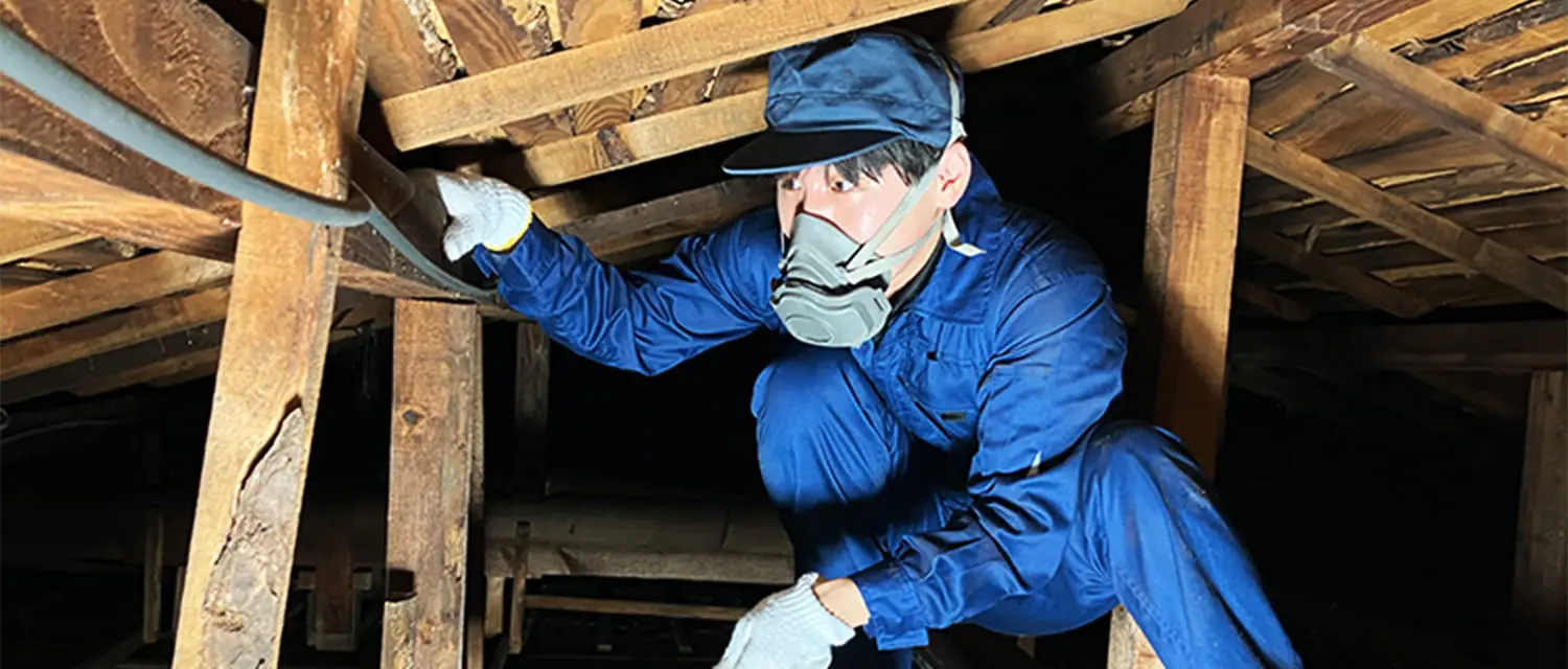 屋根裏に登り調査するスタッフ