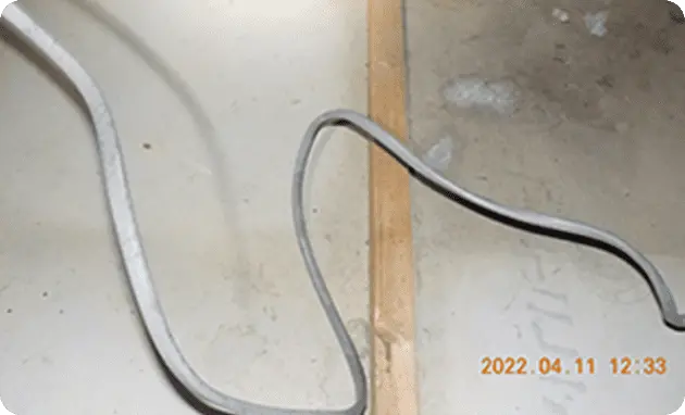 フン清掃施工後