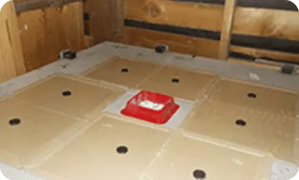 粘着シート・毒エサ設置