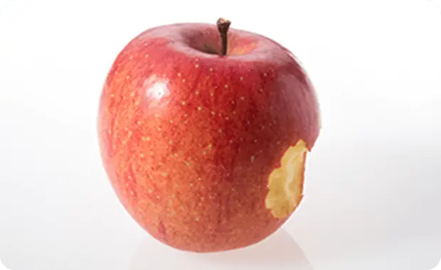 食料品が害獣によってかじられる