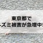 記事サムネイル