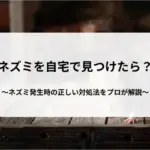 記事サムネイル