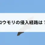 記事サムネイル