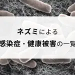 記事サムネイル