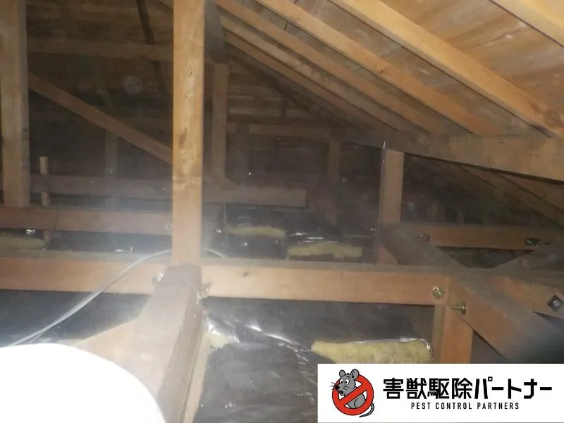 追い出し薬剤噴霧