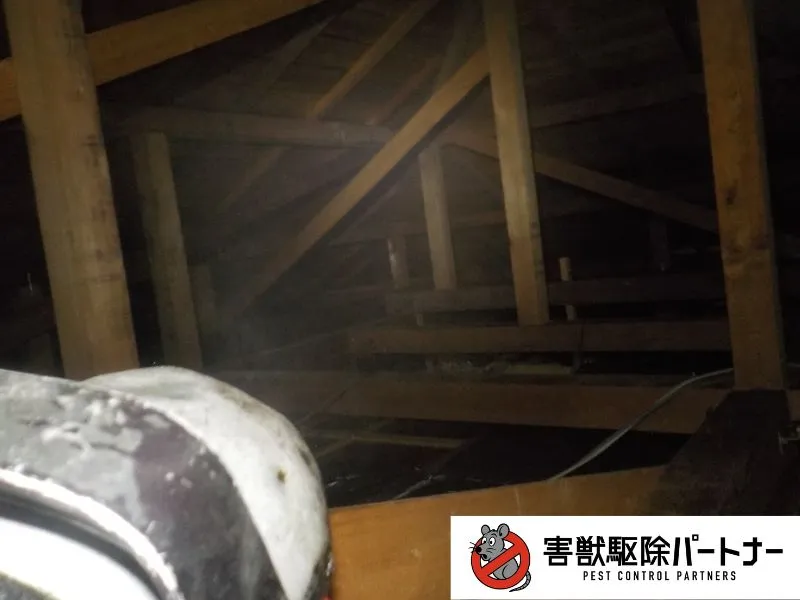 追い出し薬剤噴霧