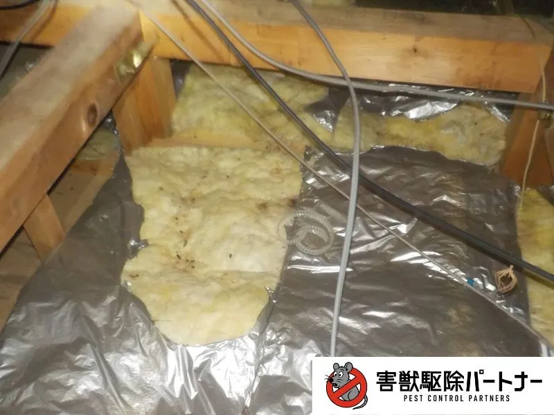 ネズミに汚染された断熱材