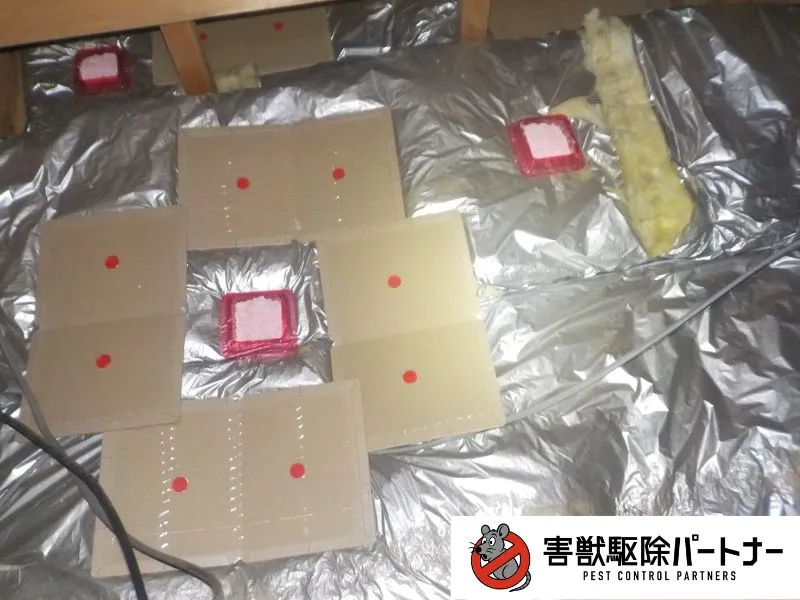 粘着シート、毒エサ設置