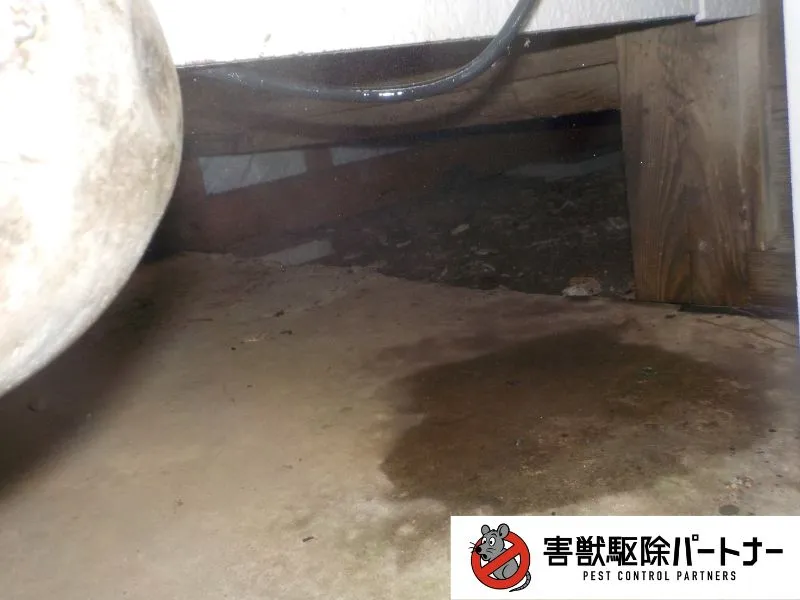 追い出し薬剤噴霧