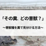 記事サムネイル