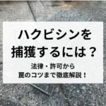 記事サムネイル