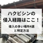 記事サムネイル