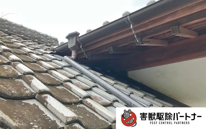 屋根の重なりの画像