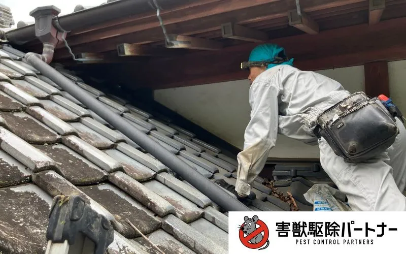 屋根の重なりの点検の様子