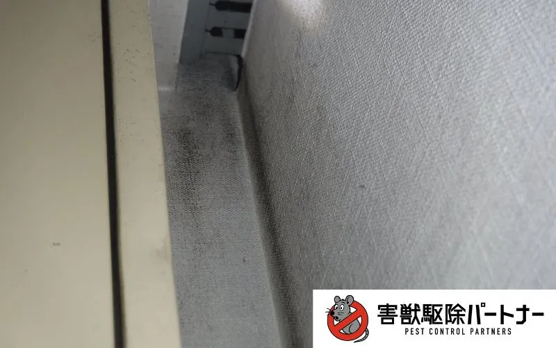 ネズミのラットサイン(汚れ)