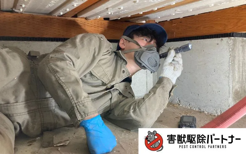 床下点検の様子