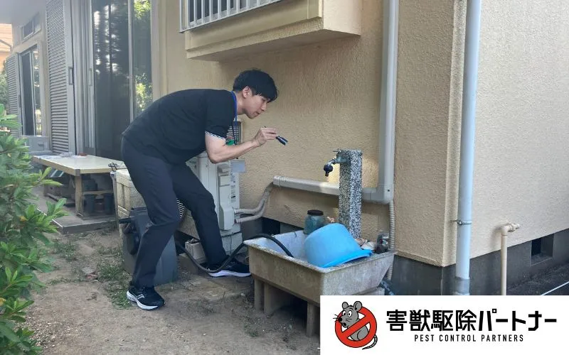 ハクビシンの侵入経路調査の様子