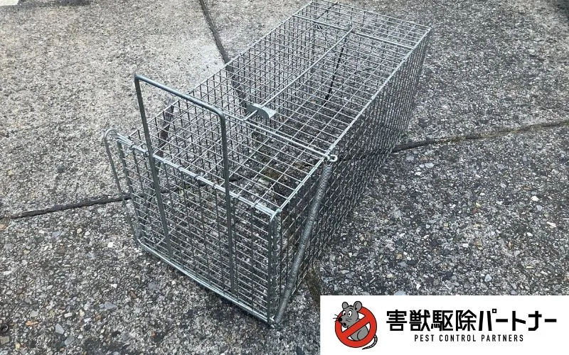 捕獲カゴ