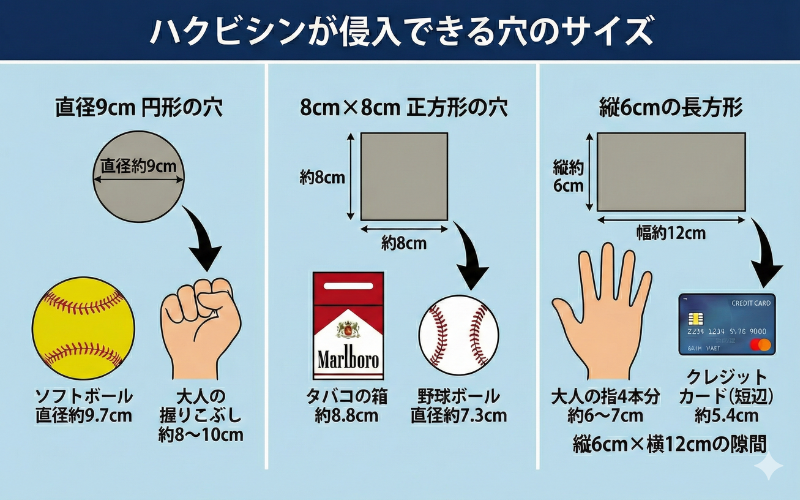 ハクビシンが侵入できる穴の大きさ一覧