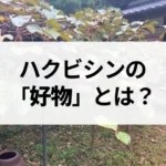 記事サムネイル