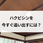 記事サムネイル