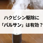 記事サムネイル