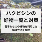 記事サムネイル