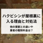 記事サムネイル