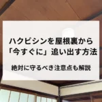 記事サムネイル