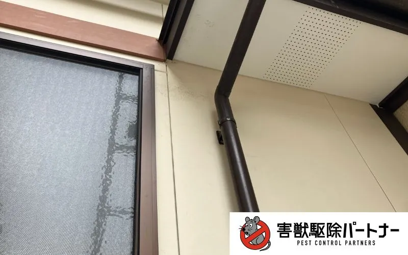 外壁に付いたハクビシンの痕跡