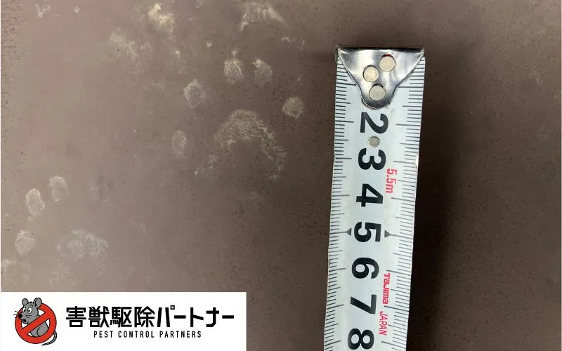 屋根に残ったハクビシンの足跡 拡大